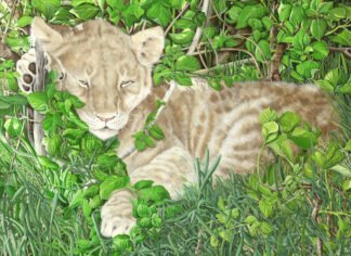 NETTIE'S NATURE PUZZLES: Kool-Kat-Lion Cub 1000 piece