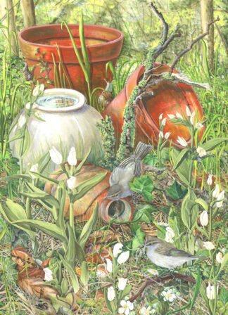 NETTIE'S NATURE PUZZLES: White Helleborines and Chiffchaffs 1000 piece
