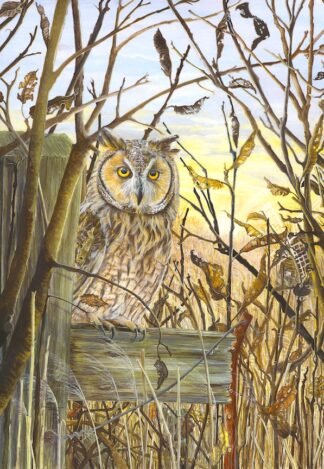 NETTIE'S NATURE PUZZLES: Winter Leaves at Wicken Fen 1000 piece