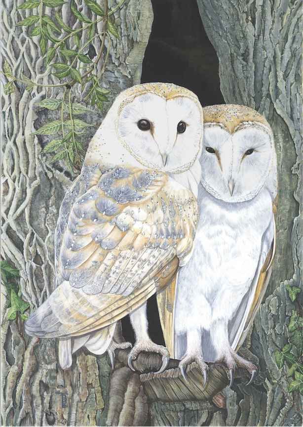 NETTIE'S NATURE PUZZLES: "Sun's up; time for bed!" (Barn Owls) 1000 piece