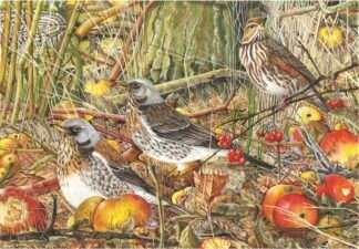 NETTIE'S NATURE PUZZLES: "Three New Blades" (of grass) 1000 piece £15