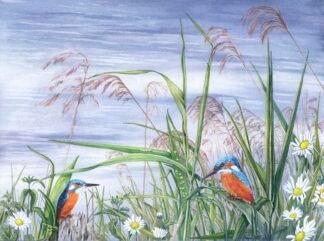 NETTIE'S NATURE PUZZLES: Love at First Sight (Kingfishers and Reeds) 1000 piece
