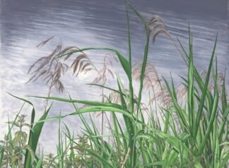 NETTIE'S NATURE PUZZLES: "Regeneration—The Mighty Reed" 500 piece £12