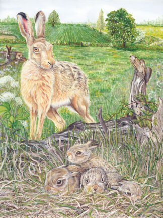 NETTIE'S NATURE PUZZLES: British Hare with Leverets